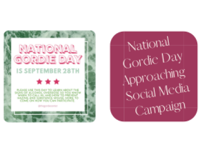 National Gordie Day Coming Up Instagram Campaign Thumbnail